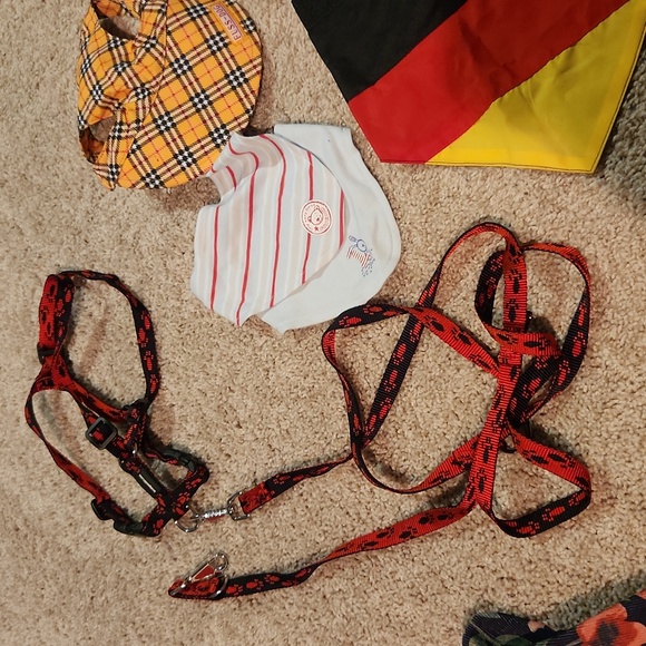 Lot of dog accessories - Picture 3 of 8